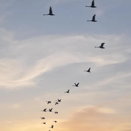 Apartmán Fischerhus37 Kranichwiese Glowe